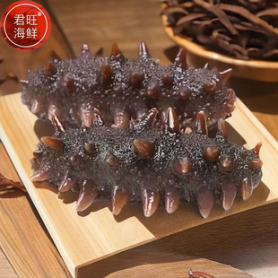 君旺海鲜 8小时速发净制海参干货大连底播辽刺参长海县水产礼盒装