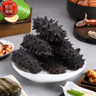 君旺海鲜 淡干海参大连深海底播辽刺参生鲜长海县水产干货礼盒装