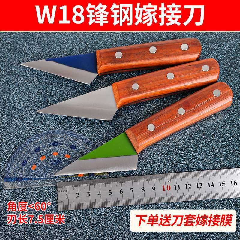 手工制作W18锋钢锯条嫁接刀特种钢芽接刀削木嫁接果树刀,模玩/动漫/周边/娃圈三坑/桌游,模型制作工具/辅料耗材,淘宝优惠券,粉丝福利购,淘宝优惠卷