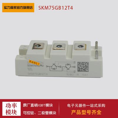 两单元(2U)/1200V IGBT模块SKM50GB128D SKM75GB12T4功率模块