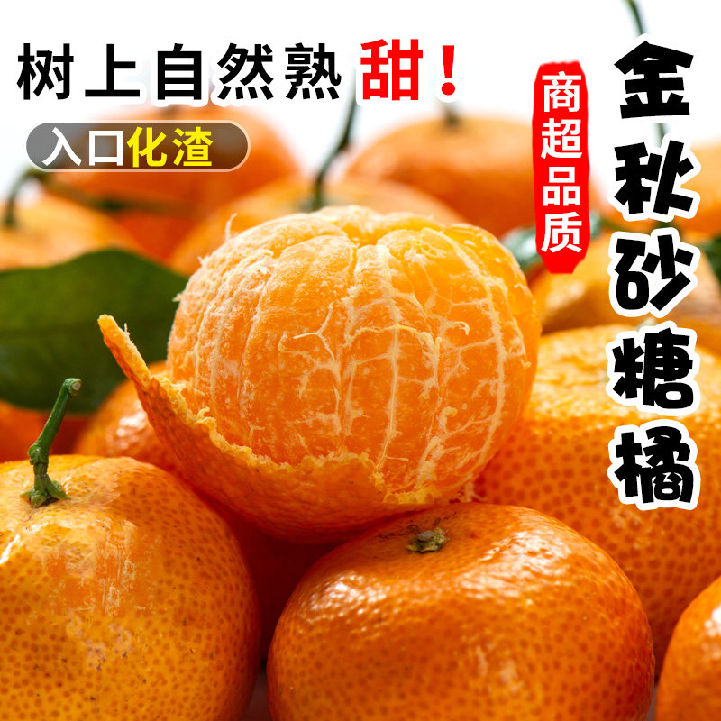 广西金秋砂糖橘云南砂糖橘沙糖桔小橘子精品新鲜水果当季整箱包邮