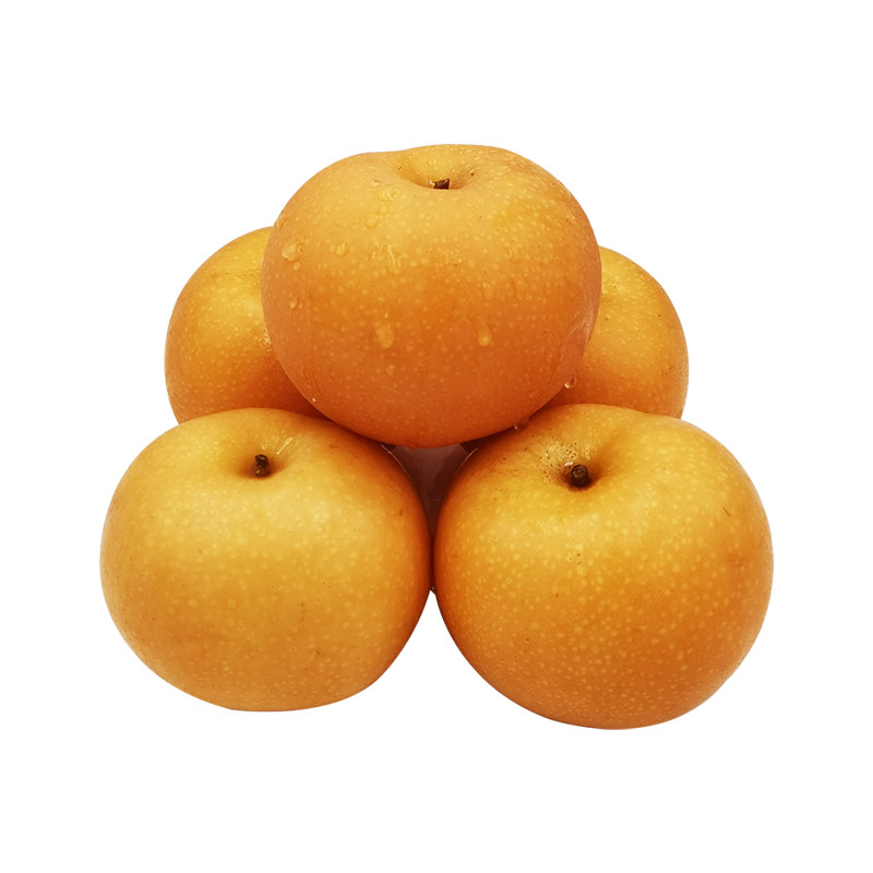 【芭芭农场】山东南水梨4.5斤单果250g+