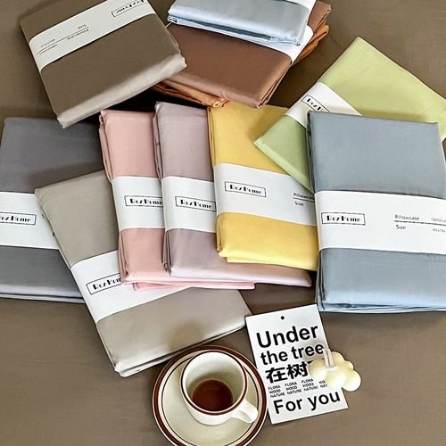 高端100支新疆长绒棉枕套一对装纯棉家用全棉枕头套枕芯套48x74cm