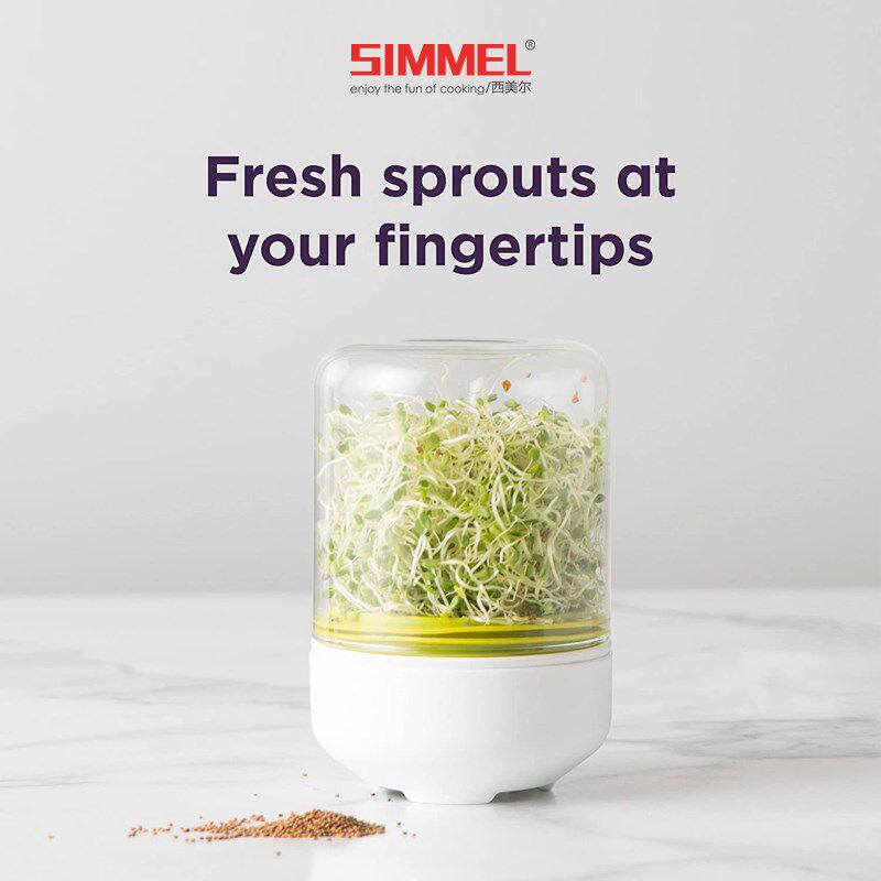 豆芽发芽盆绿豆芽育苗盘发豆芽工具水培蔬菜设备豌豆种植盒豆芽罐