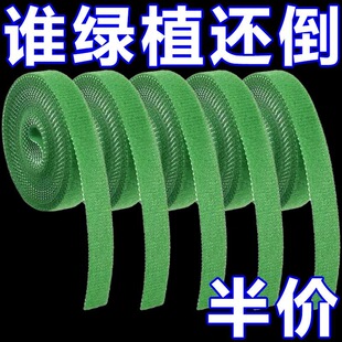 绿植捆绑扎带绿色魔术贴粘扣带植物捆绑不伤植物支撑固定窗帘绑带
