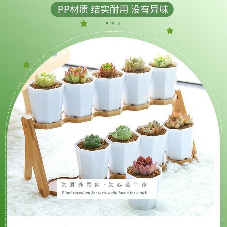 八角盆特价清仓八角白色塑料花盆客厅阳台卧室特价包邮厂家直销八,鲜花速递/花卉仿真/绿植园艺,其它园艺用品,淘宝优惠券,粉丝福利购,淘宝优惠卷