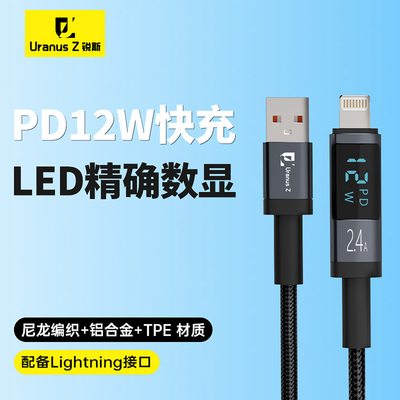 锐斯PD12W数显双头快充线