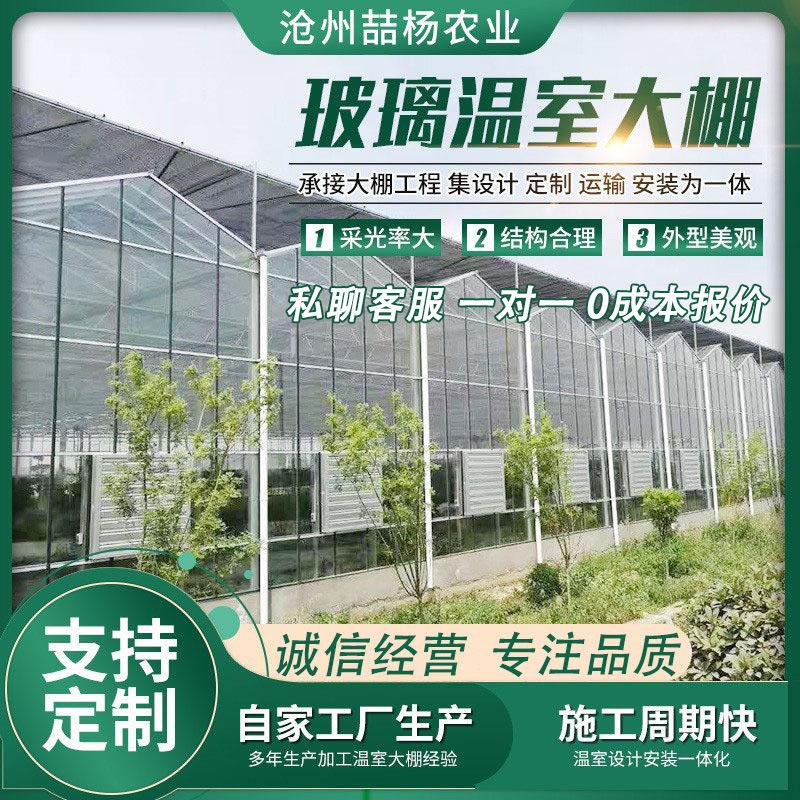 玻璃大棚 智能连栋玻璃温室 生态餐厅 科研温室 温室大棚骨架