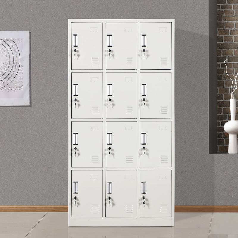 钢制12十二门更衣柜铁皮柜带锁浴室员工储物柜家用宿舍存包挂衣柜