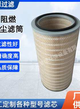 聚酯除尘滤芯P191889-016-436椭圆纳米阻燃滤筒除尘空滤除尘器