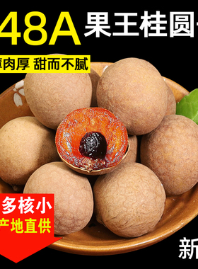 福建特级148A特大果桂圆干新货龙眼干500g桂圆肉干桂圆袋装包邮