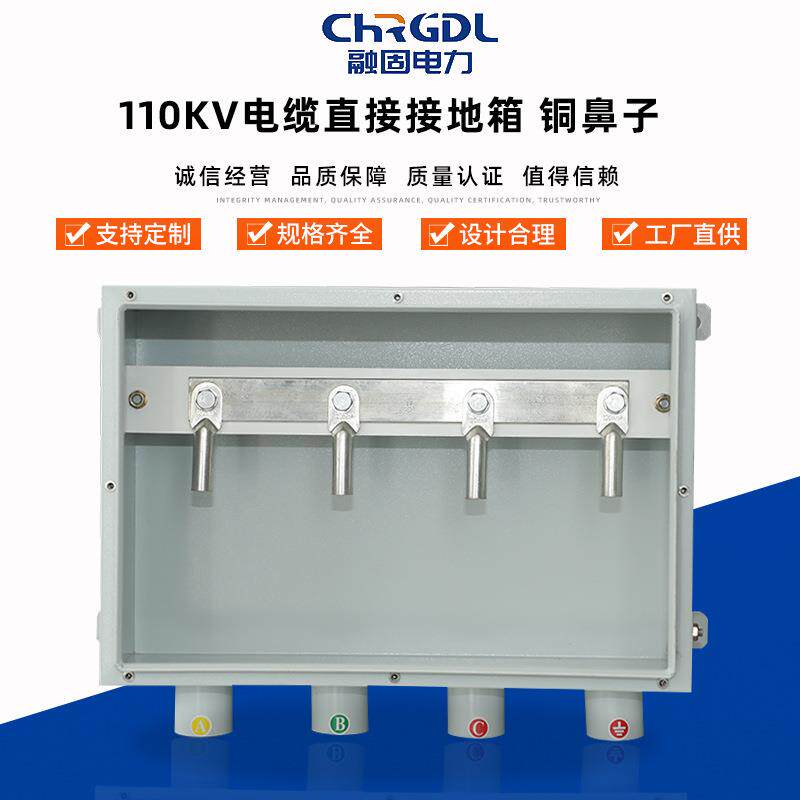 供应电缆绝缘保护分支箱不锈钢护层铜鼻子110KV电缆直接接地箱