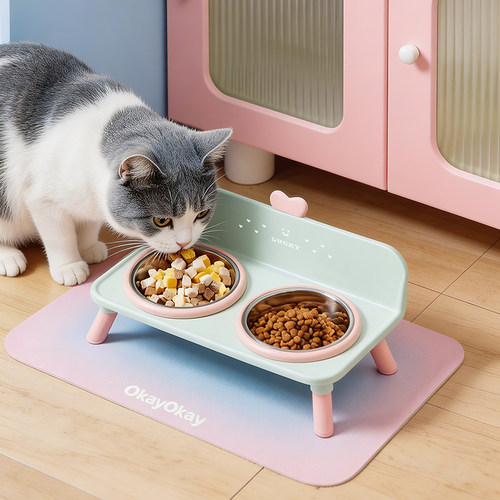 猫碗高颜值宠物高脚不锈钢饭桌防滑防打翻狗碗大容量宠物碗
