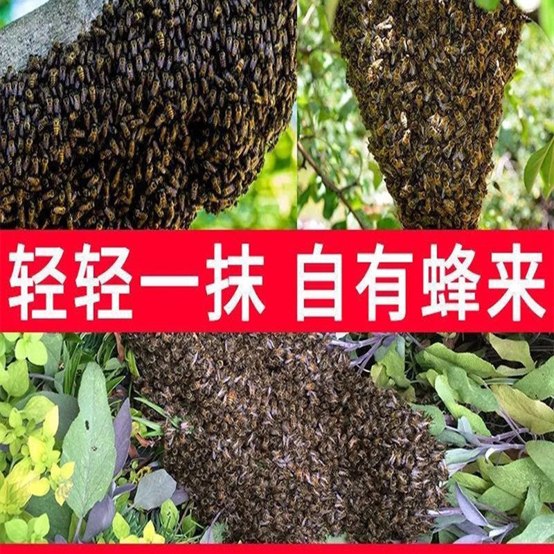 极速蜂蜡b诱蜂用诱蜂膏蜜蜂招蜂水野外中土蜂新手引蜂神器养蜂专