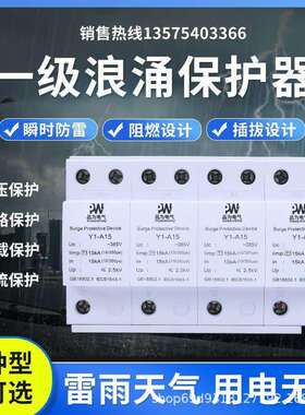 2P4P一级浪涌保护器12.5KA15KA25KA50KA防雷浪涌保护器电涌