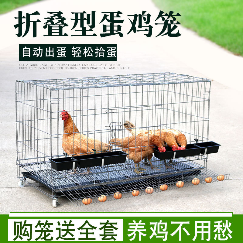 鸡笼子家用室外防雨自动滚蛋家庭养鸡出蛋养殖笼鸡舍简易大号特大