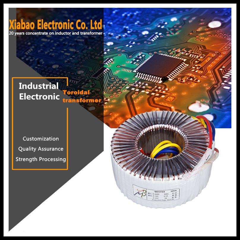 AC220V转AC12V24V300W全铜线环形电源变压器音频功放音响变压器