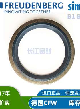 B1FUDSL 65-80-8 6-16-7  德国SIMRIT cfw进口骨架油封 外铁壳