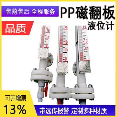 磁翻板液位计侧装水油位仪表磁性浮子防腐带远传报警开关液位计
