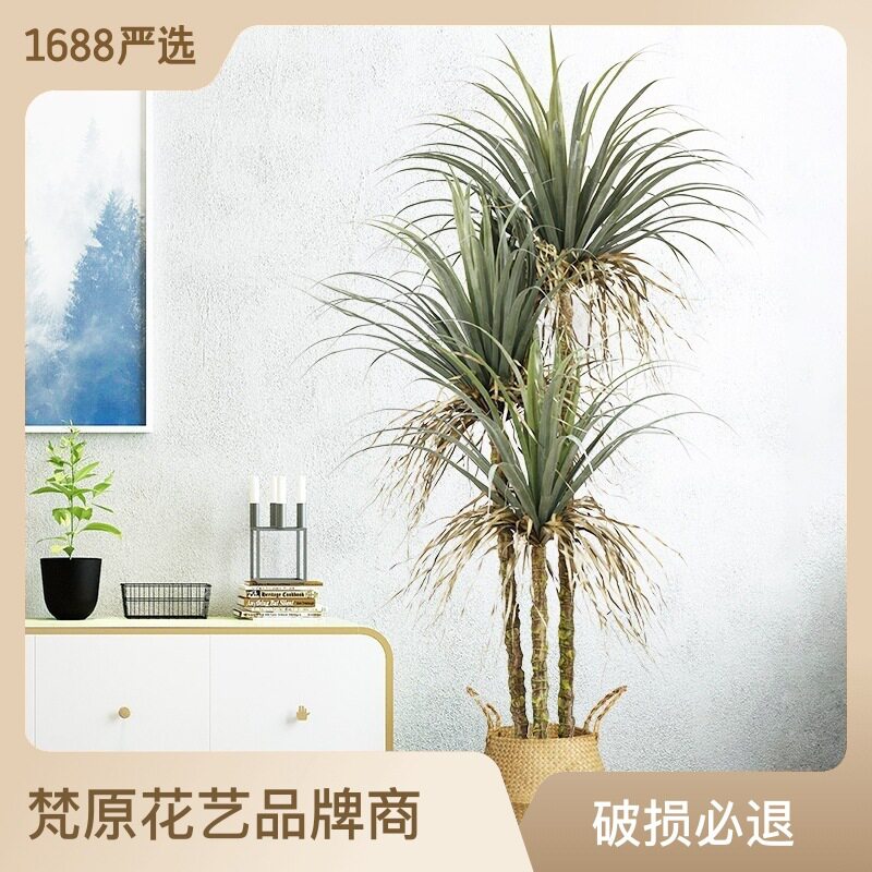 工厂批发仿真植物大型铁树假绿植假树室内落地摆件仿真 龙血铁树