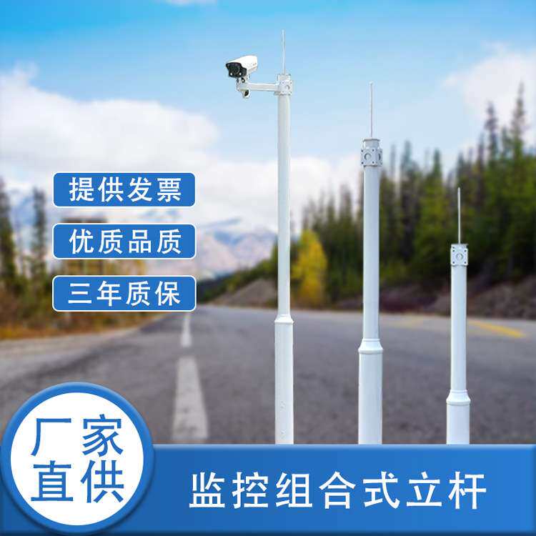 小区公园监控杆2米2.5米3米3.5米4米组合不锈钢监控立杆