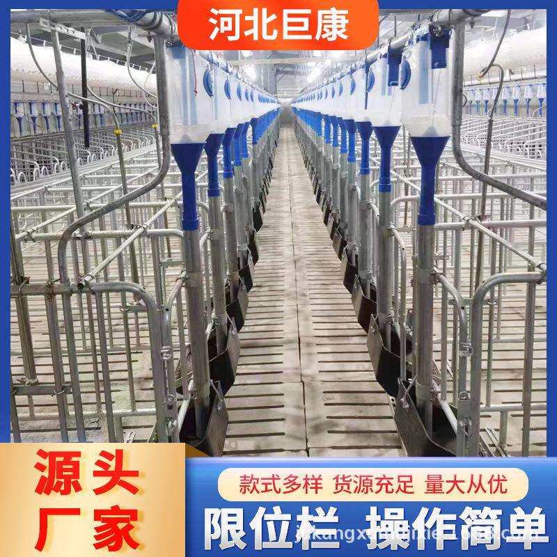 母猪定位栏加厚热镀锌限位栏猪仔猪分娩保育两用限位栏