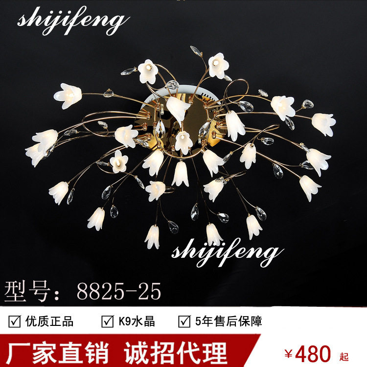 ceiling lamp北欧花型吸顶客厅灯简欧卧室温馨浪漫创意吊顶吸顶灯