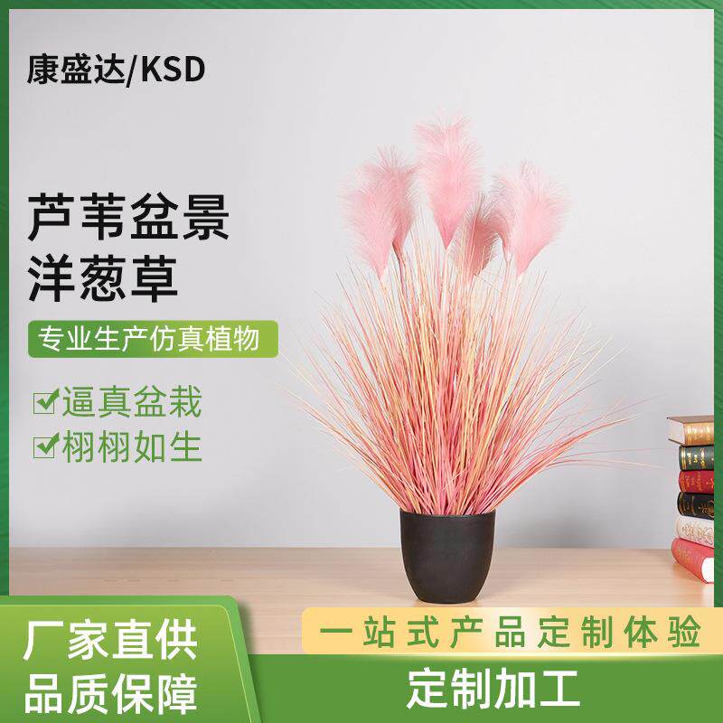 仿真盆栽盆景芦苇洋葱草粉色芦苇洋葱草芦苇仿真花现货