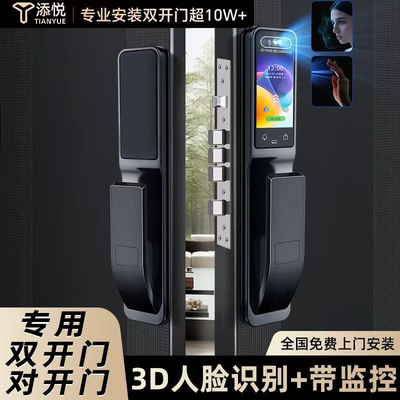 农村自建房双开大门密码锁家用门锁大铁门指纹锁防盗门电子智能锁