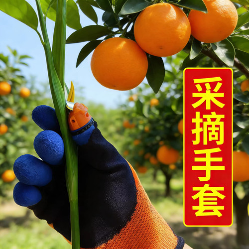 采红花掐尖掐菜神摘辣椒摘花椒手套摘花椒神器摘菜拇指刀指甲套