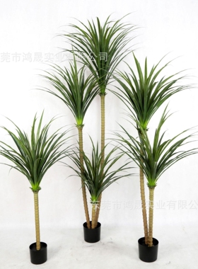 仿真龙血树 巴西铁绿植龙须树塑料植物剑麻大号落地摆件酒店装饰