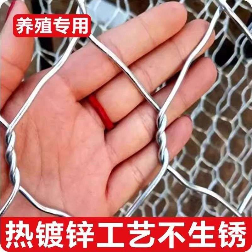 热镀锌铁丝网围栏护栏网养鸡拧花网养殖牛羊猪钢丝网果园防护网