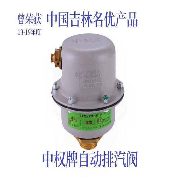 牌立式侧排管道排汽阀自动排气阀自动大排汽口黄铜排气阀厂家