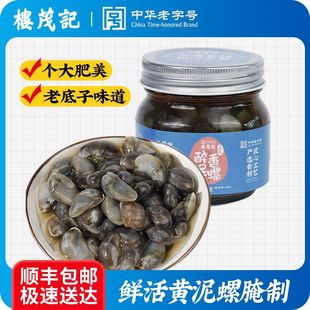 楼茂记醉泥螺即食罐装黄泥螺特大号鲜活腌制新鲜潮汕生腌宁波特产