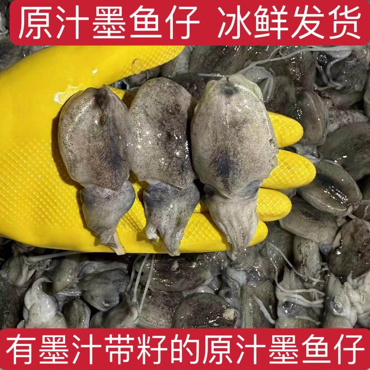 墨鱼仔原汁带乌贼圆斗目