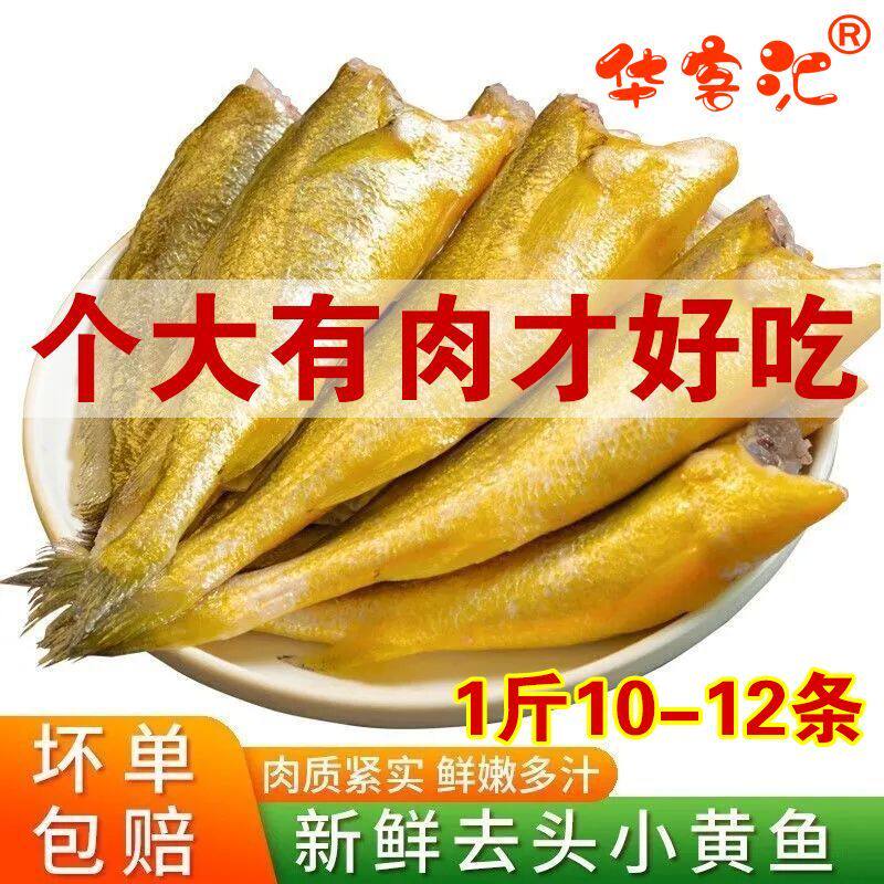 【大个头】去头小黄鱼特大去头小黄花鱼新鲜冷冻海鲜水产批发野生