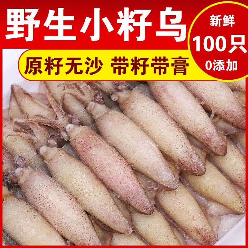 野生原籽籽乌100只带籽新鲜海兔子小管满籽笔管鱼冷冻鱿鱼仔批发