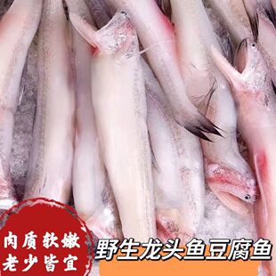 龙头鱼新鲜龙头鱼豆腐鱼九肚鱼冷冻丝丁鱼新鲜棉花鱼特级海捕新鲜
