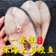 大马鲛鱼片中段新鲜切片湛江海鲜深海鱼水产马胶鱼海鲜马交鱼 包邮