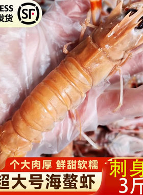 海鳌虾刺身国产大号舟山宁波海鲜冷冻新鲜深海东海商用大鳌虾海虾