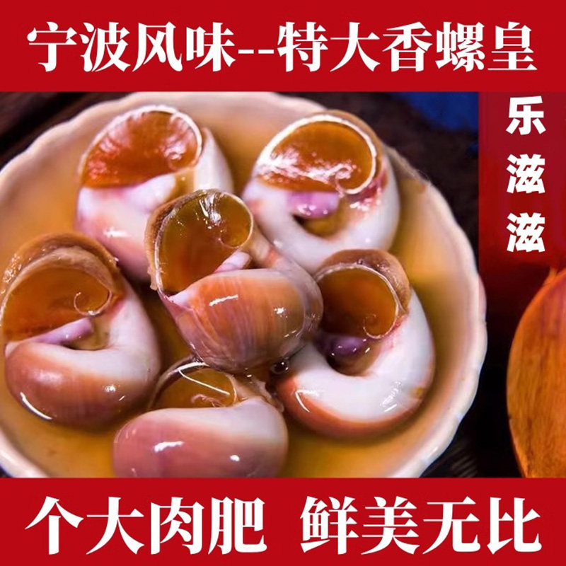 乐滋滋特大野生醉香螺650克 醉螺 肉螺 醉海螺 醉玉螺 宁波海鲜特