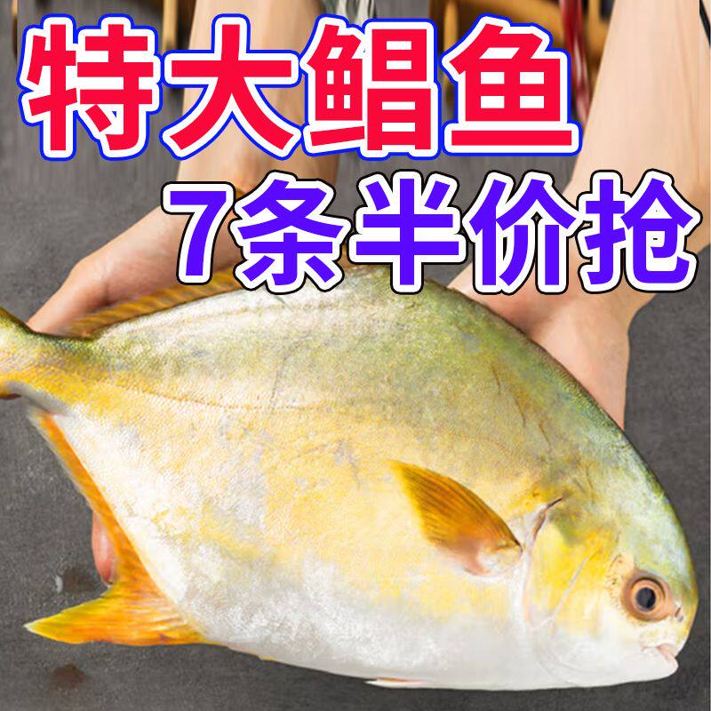 【特价】特大金鲳鱼新鲜鲜活冷冻平鱼现捕白鲳鱼非真空一整箱海鲜