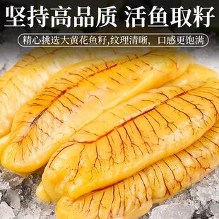 温州黄花鱼籽新鲜冷冻大黄鱼子鱼蛋鱼卵鲜活海鲜水产大鱼籽黄花鱼