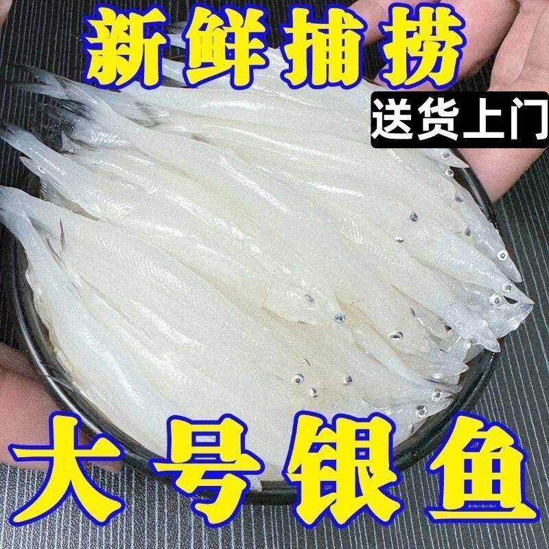 苏州特产银鱼新鲜冷冻淡水大号银鱼正宗无骨无刺面条鱼辅食