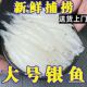 苏州特产银鱼新鲜冷冻淡水大号银鱼正宗无骨无刺面条鱼辅食