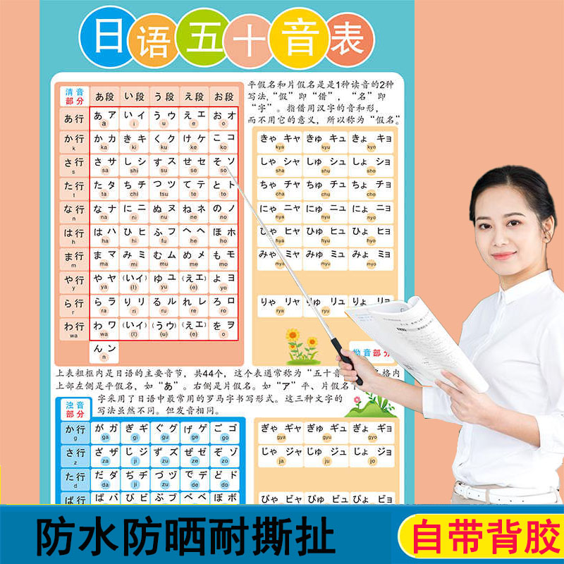 日语五十音图挂图墙贴海