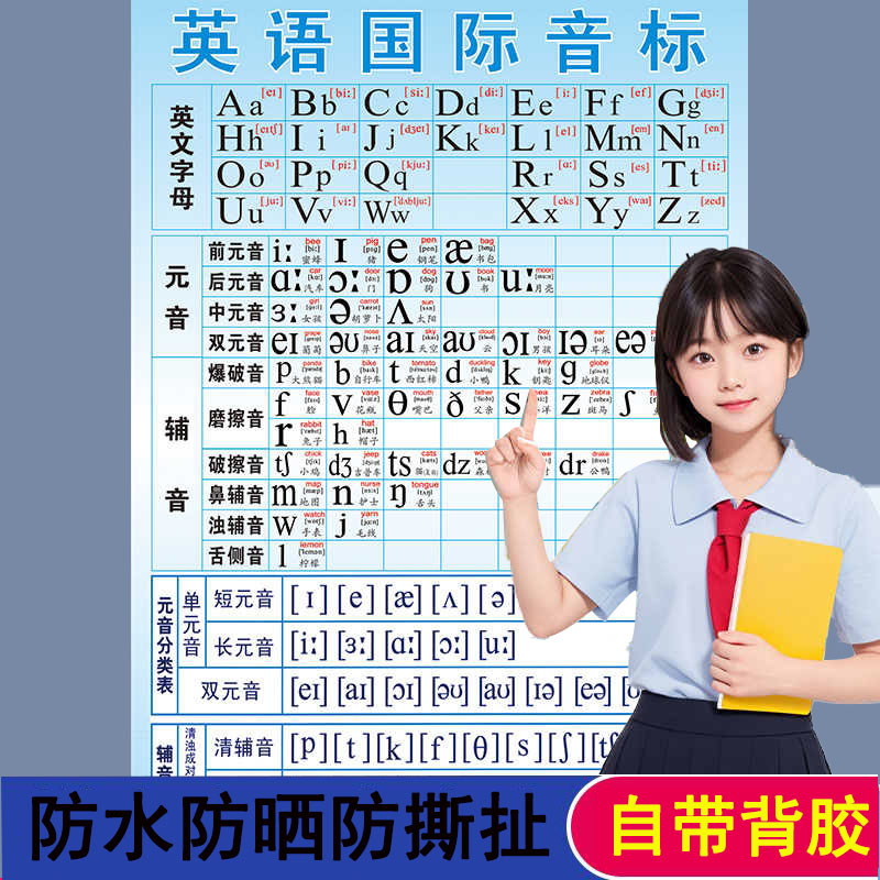 小学生英语48个字母表国