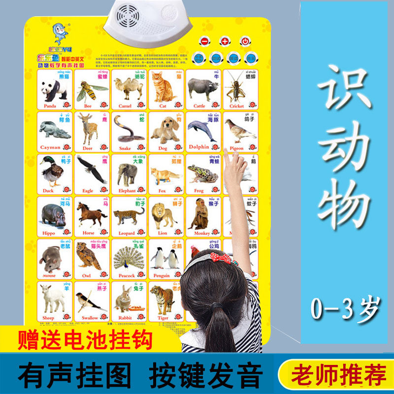 婴幼儿识字挂画有声宝宝