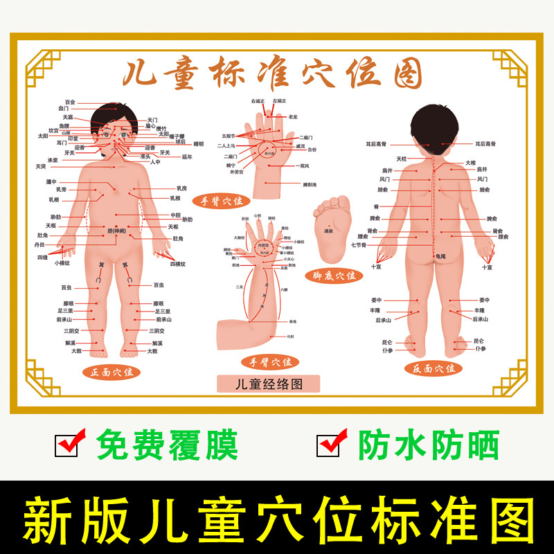 儿童标准经络穴位图高清