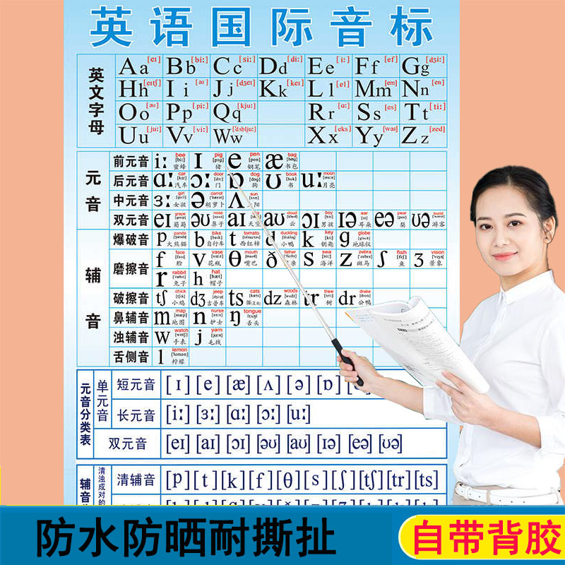 小学英语48个国际音标无